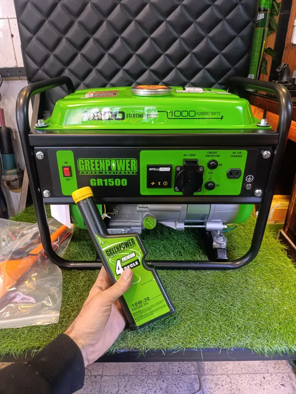 موتور برق گرین پاور 1/2kw