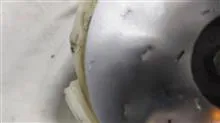 موتور