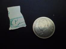 سکه