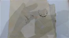 نامه