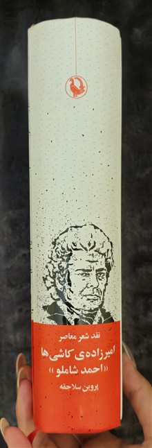 امیرزداه