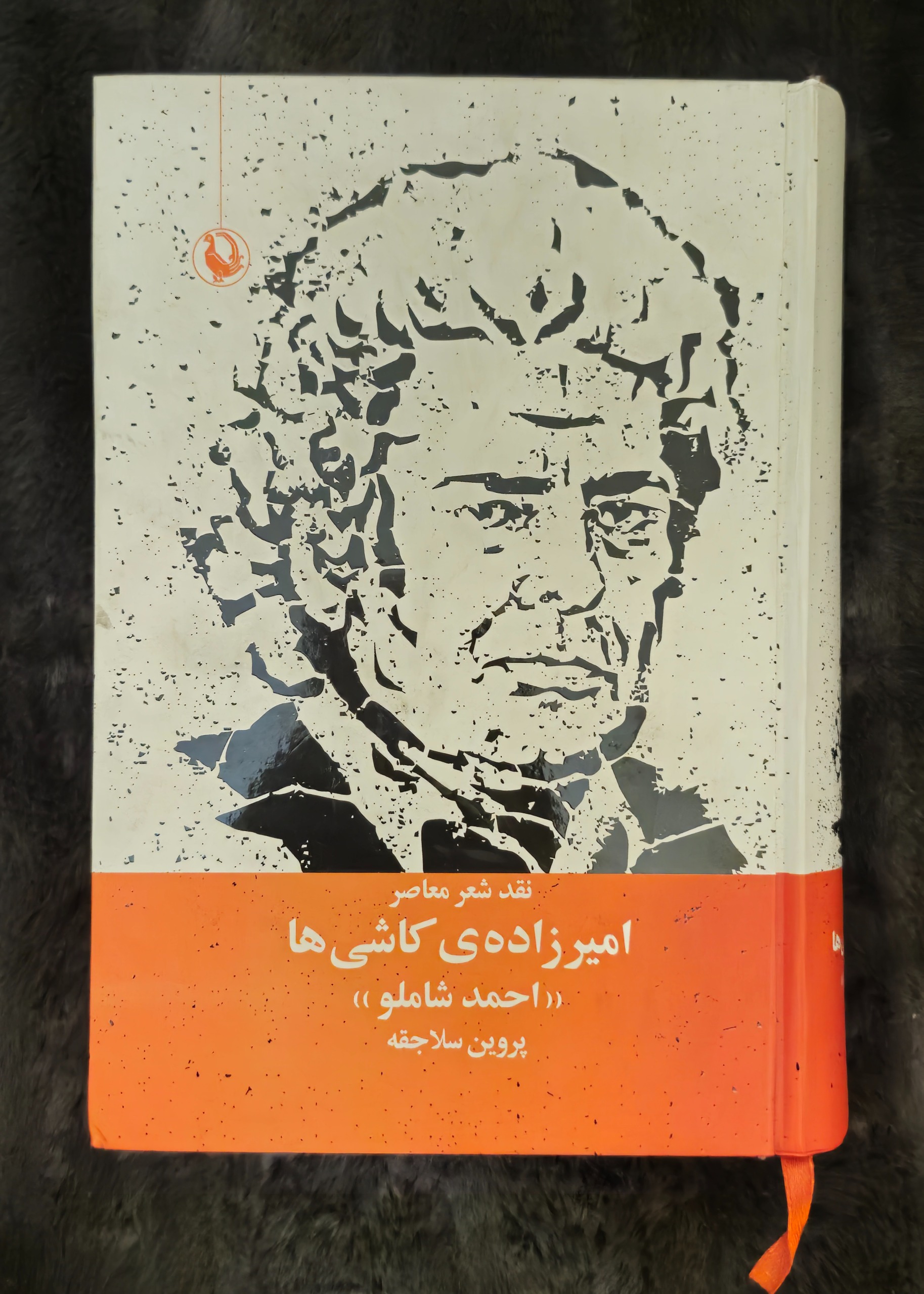 امیرزداه کاشی ها