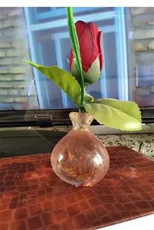 گلدان