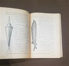 دریای