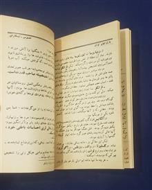 پارتیزانهای