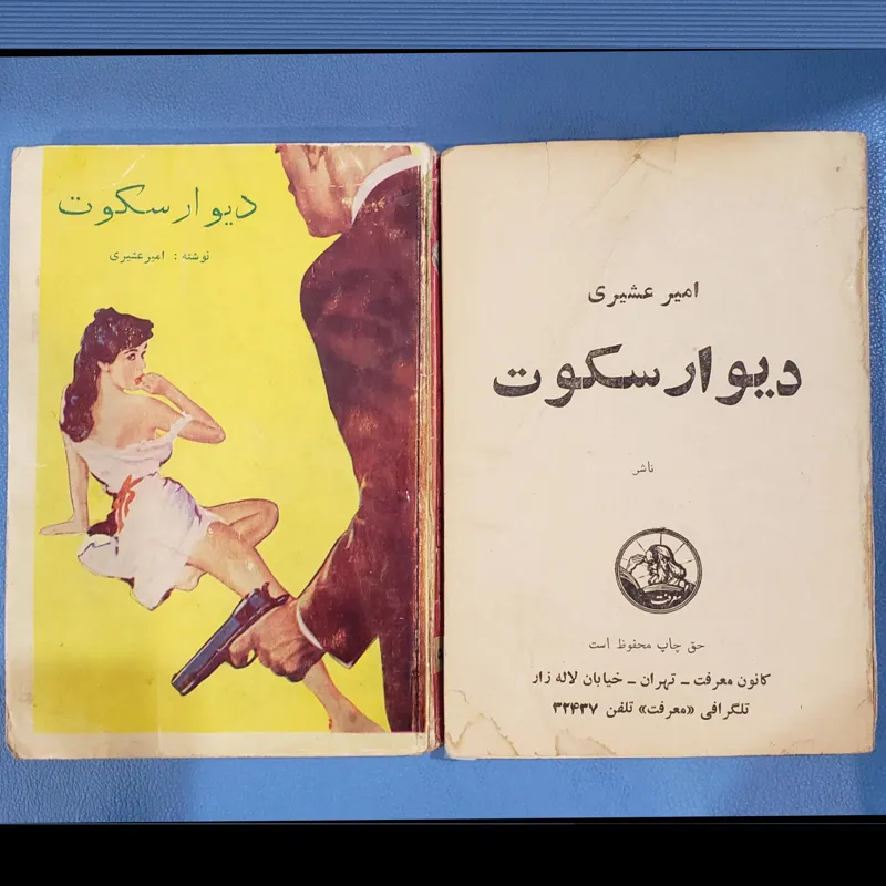 دیوار سکوت امیر عشیری نایاب