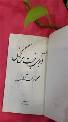 آهوی