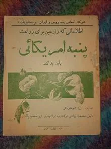 نشریه