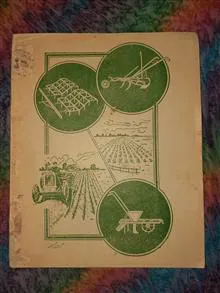 نشریه