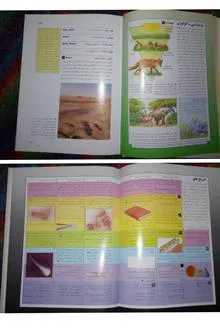 فرهنگنامه