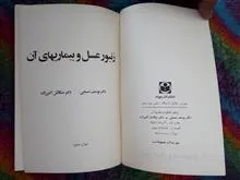 زنبورعسل