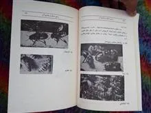 زنبورعسل