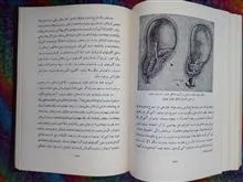 بهداشت