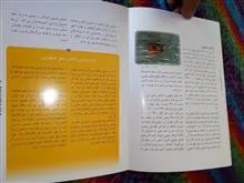 کودکان