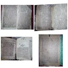 (25عدد)