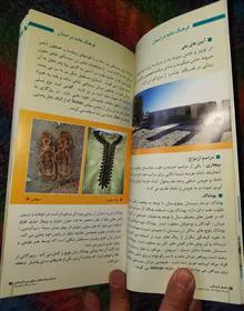 راهنمای