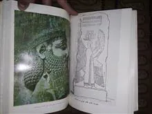 شماره