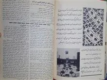 نشریه