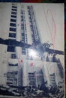 نشریه