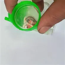 لیوان