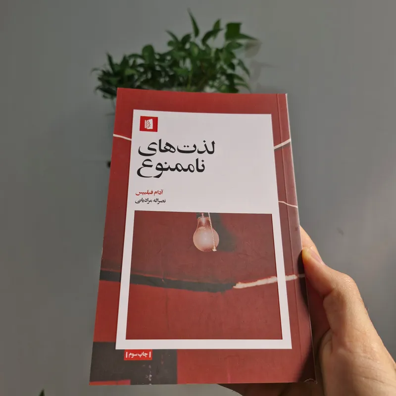 کتاب لذت های ناممنوع اثر آدام فیلیپس نشر بیدگل