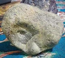 فسیل