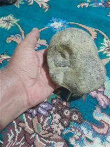فسیل