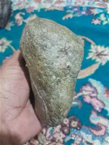فسیل