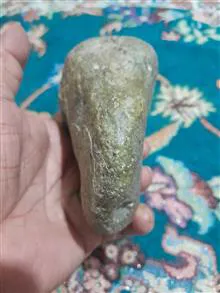 فسیل