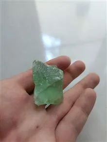 راف
