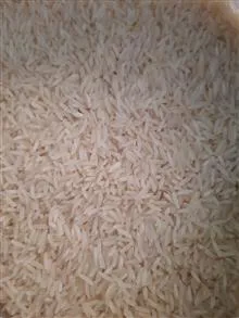 برنج