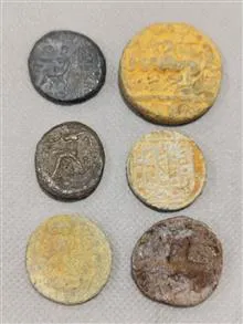6عدد