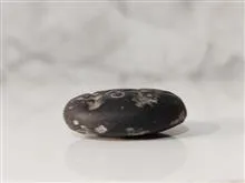 مهر
