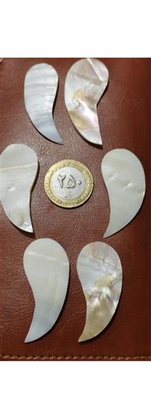 5عدد