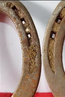 نعل