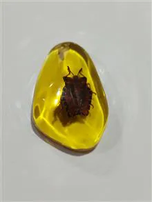 آویز