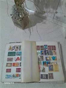 دفتر
