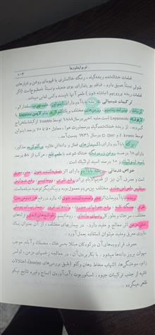 گیاهان