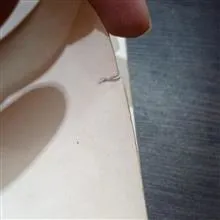 سیر