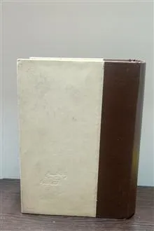 وقایع