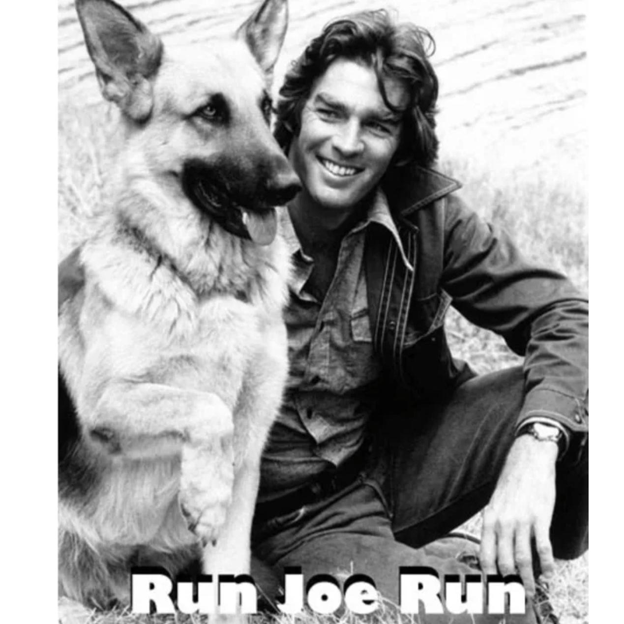 سریال قدیمی در تعقیب جو دوبله