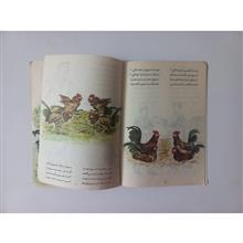 خروس