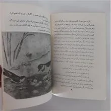 آشیانه