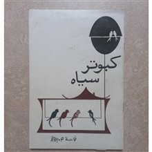 کبوتر