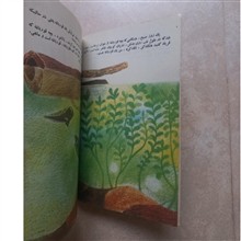ماهی