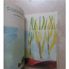 ماهی