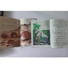مجموعه