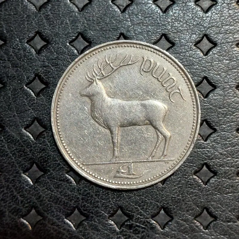سکه 1 پوند ایرلند 1990