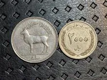 سکه