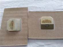 قطعه